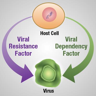 Virus depiction in a host